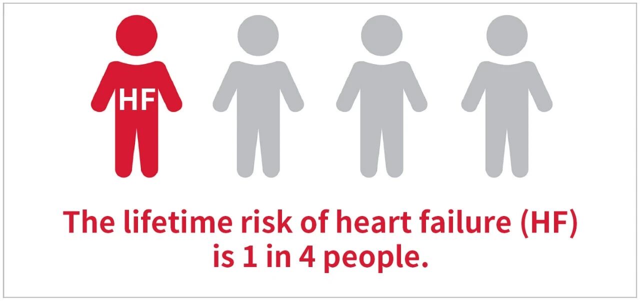 新品上市 | 心衰診斷雙保障——聚焦心衰精準(zhǔn)診斷，我們從未止步！